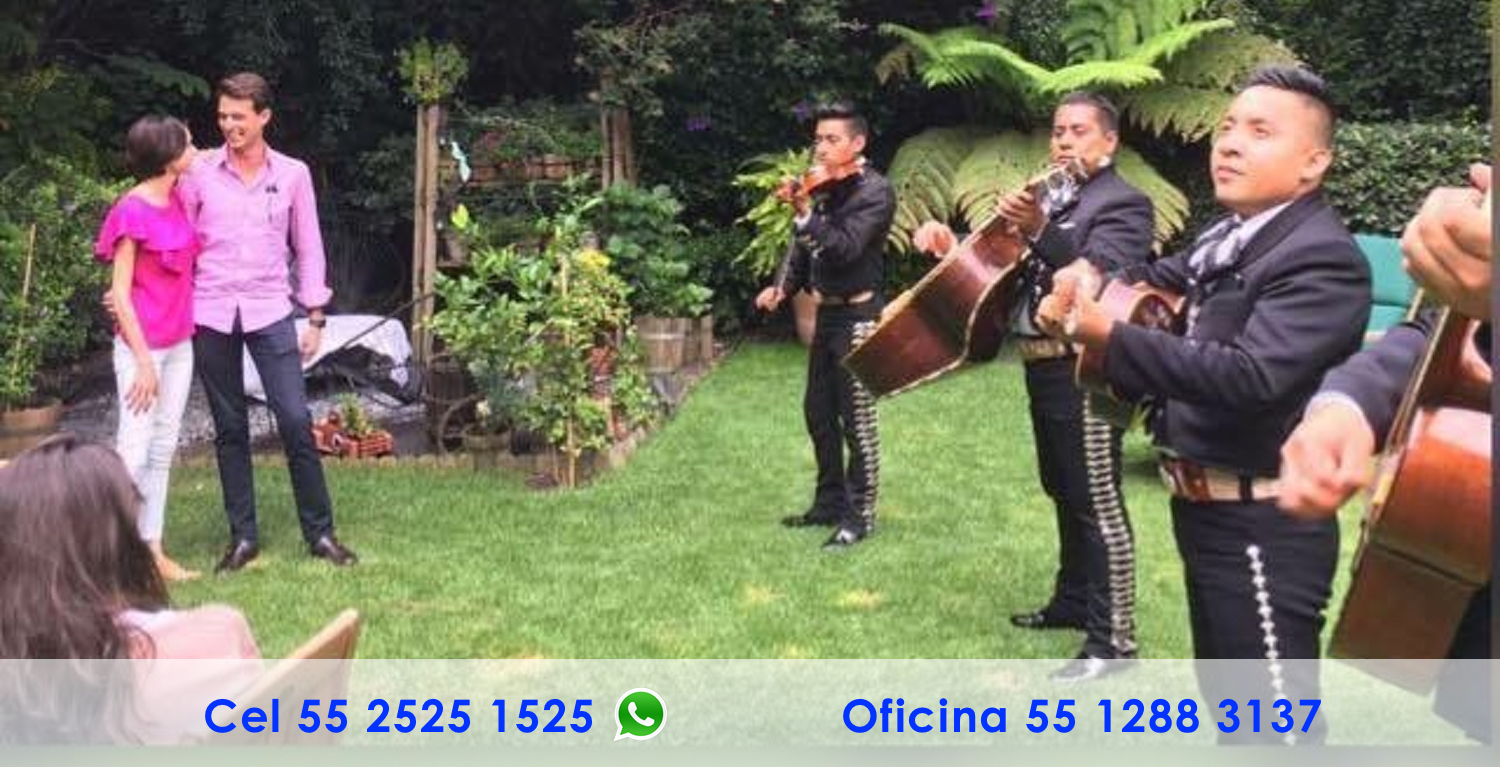 Contratación de Mariachis